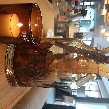 酒店 劳林阿尔本酒店