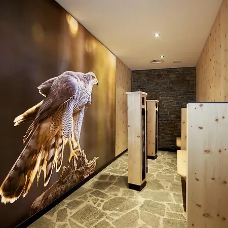 Alpenhotel Laurin Hotel 3*